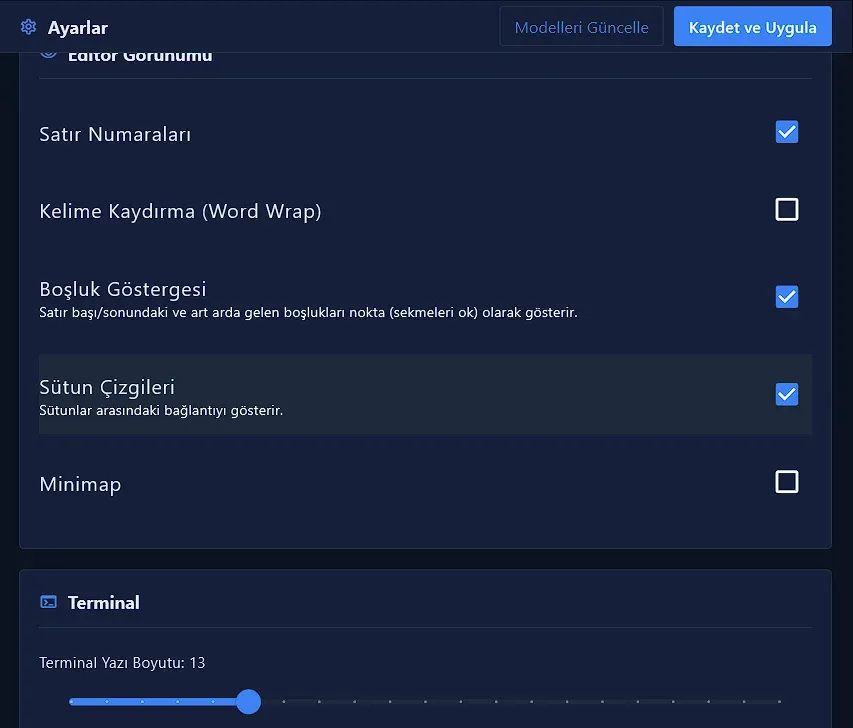 Editör Görünümü ayarları: Satır Numaraları, Kelime Kaydırma, Boşluk Göstergesi, Sütun Çizgileri, Minimap