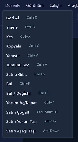 Düzenle menüsü: Geri Al, Yinele, Kes, Kopyala, Yapıştır, Tümünü Seç, Satıra Git, Bul, Bul / Değiştir, Yorum Aç/Kapat, Satırı Çoğalt, Satırı Yukarı/Aşağı Taşı