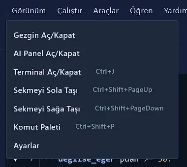 Görünüm menüsü